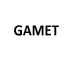 GAMET GAMET
