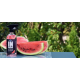 Средство для уборки INTERIOR CLEANER watermelon 750 мл